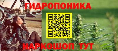 герыч Можга
