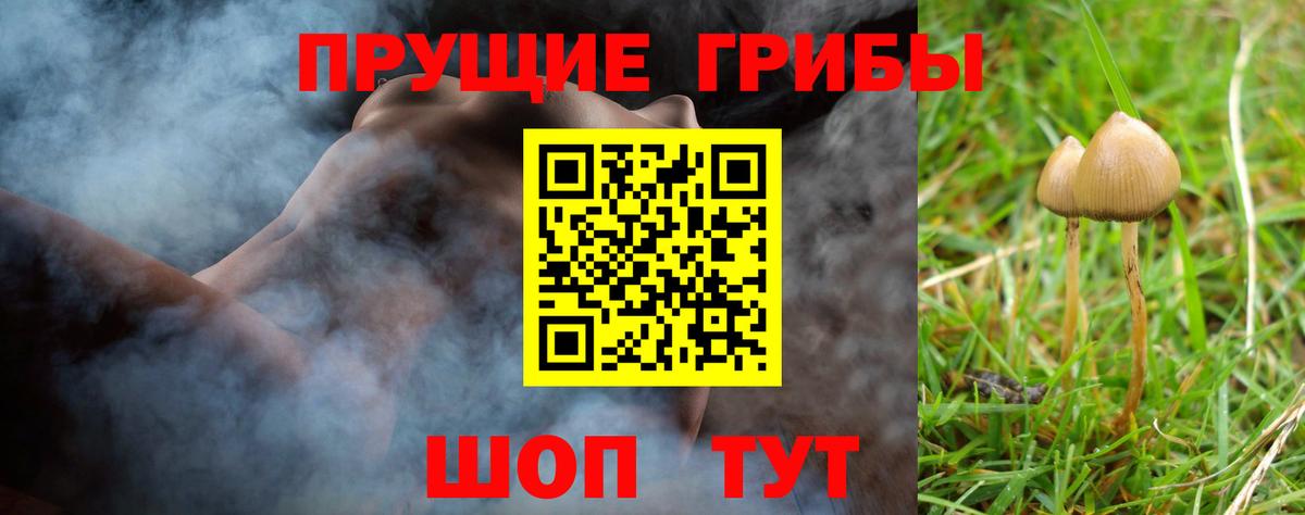 Верхняя Салда  Галлюциногенные грибы прущие грибы  Вход с VPN 